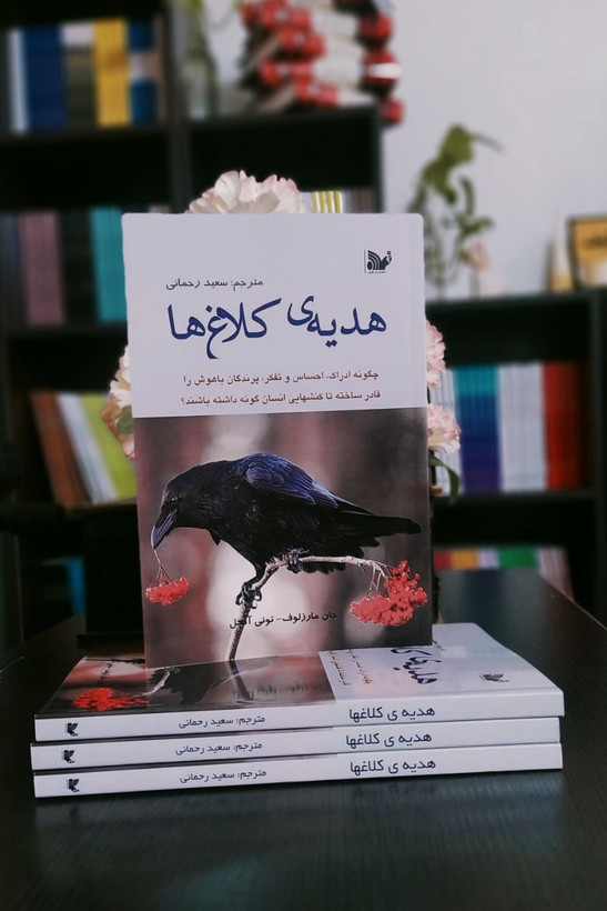 کتاب هدیه کلاغ ها